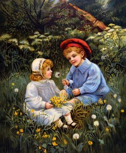 Fratelli che giocano in un campo da Unknown
